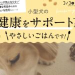 「このこのごはん」はどこで買える？取扱店や販売店はどこ？