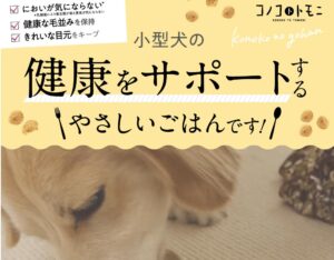 「このこのごはん」はどこで買える？取扱店や販売店はどこ？