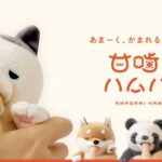 甘噛みハムハムはどこで買える？通販で売ってる？